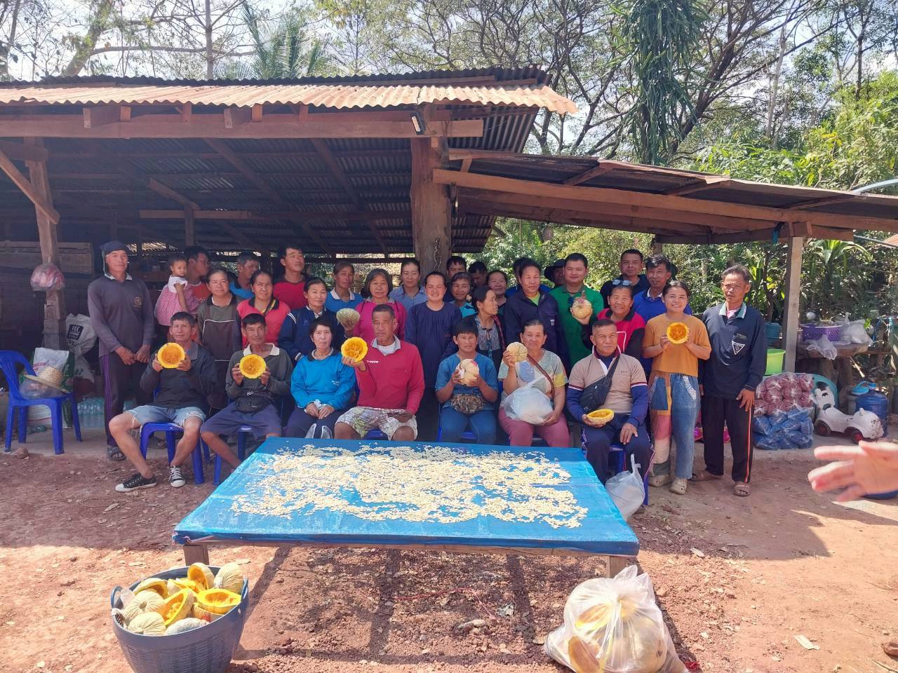 title - จัดฝึกอบรมเกษตรกรภายใต้โครงการระบบส่งเสริมการเกษตรแบบแปลงใหญ่ในเขตปฏิรูปที่ดิน ปีงบประมาณ พ.ศ. 2569